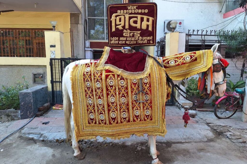 Ghodi for Groom