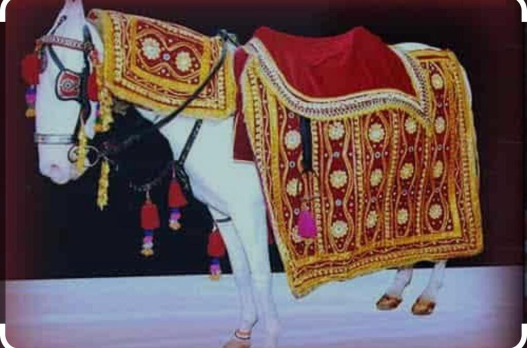 Ghodi for Groom